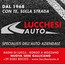 Lucchesi Auto Srl